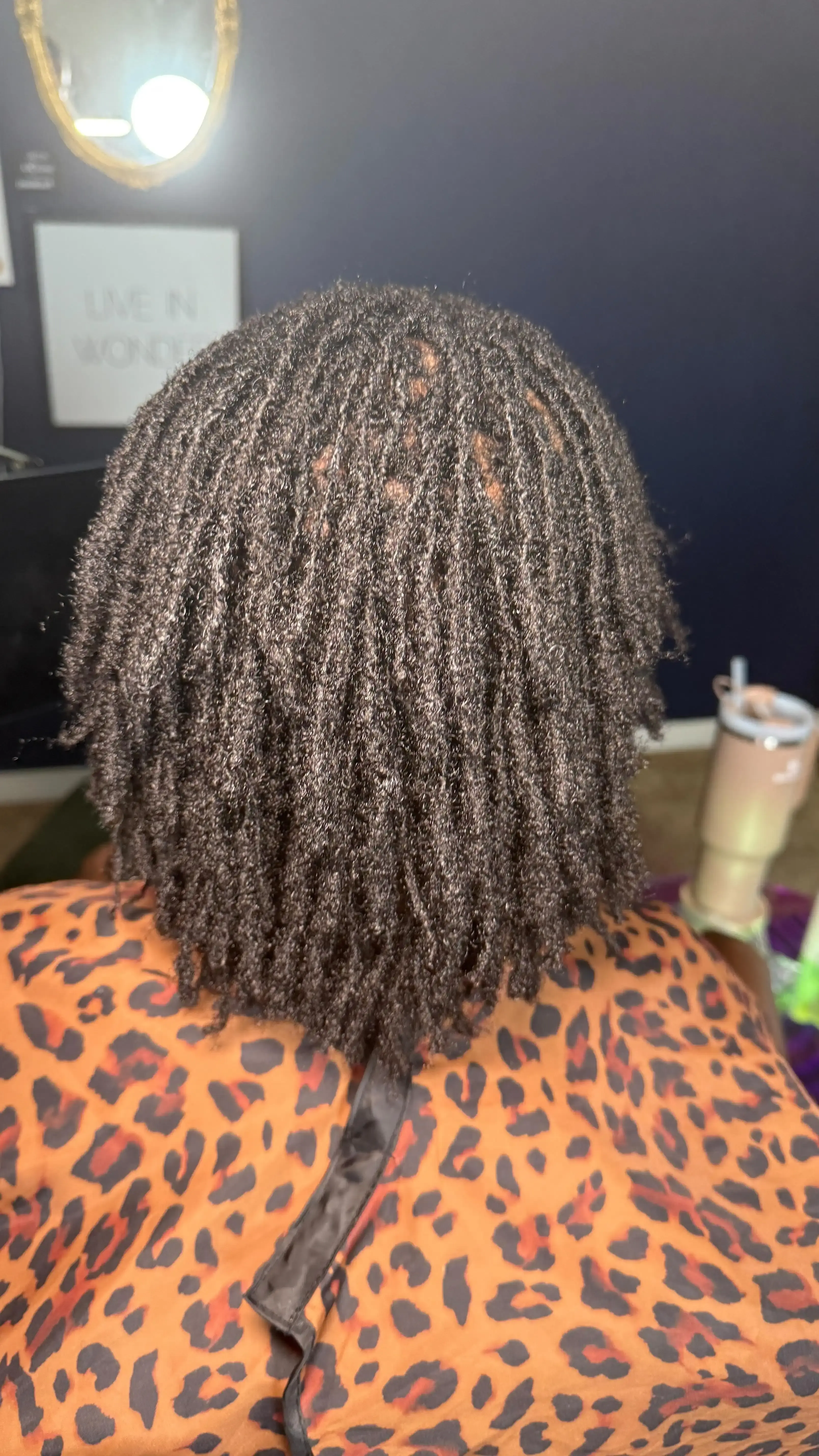Healthy restored locs after professional loc repair
