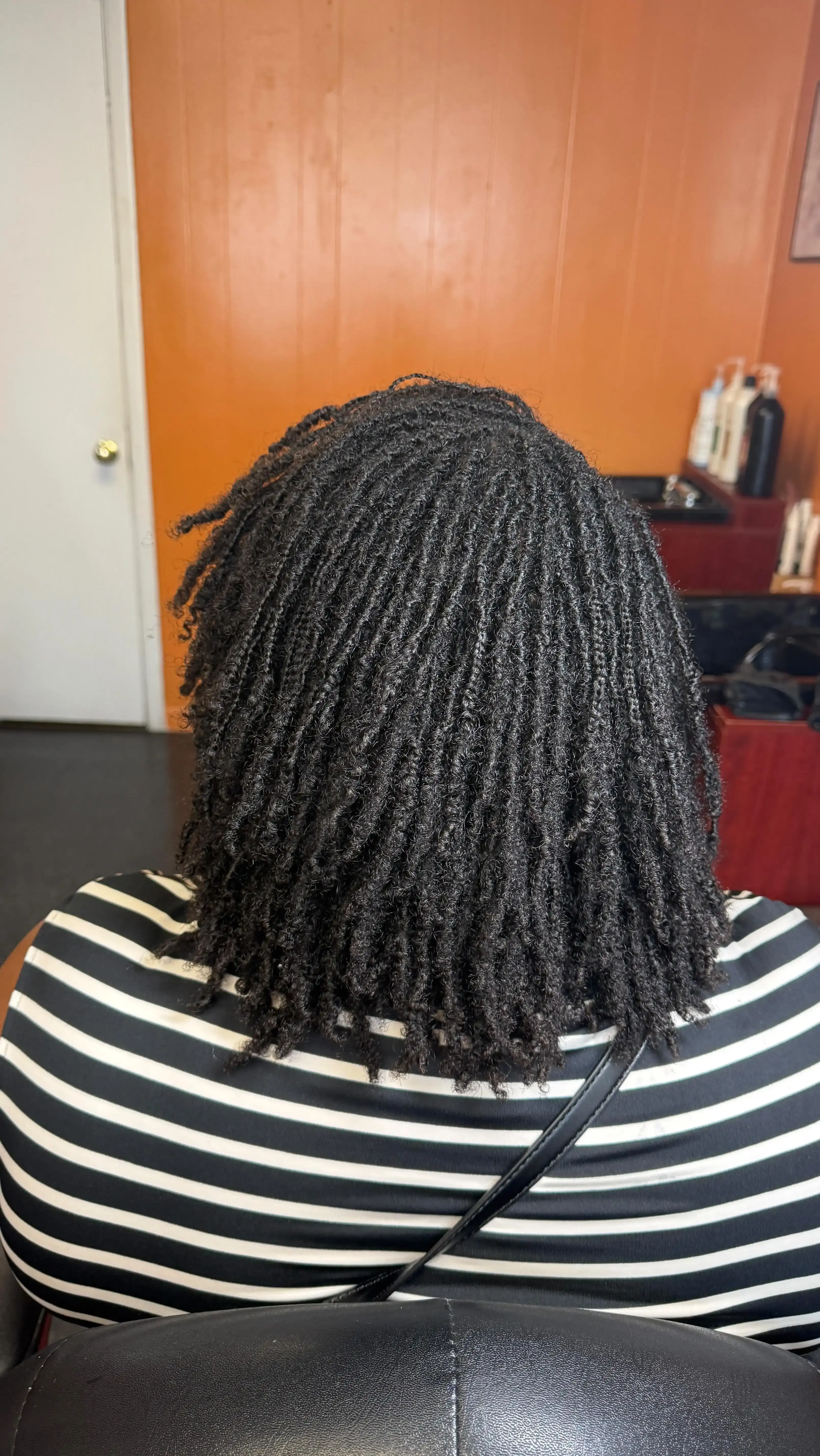 Beautifully maintained microlocs from behind showing neat parting