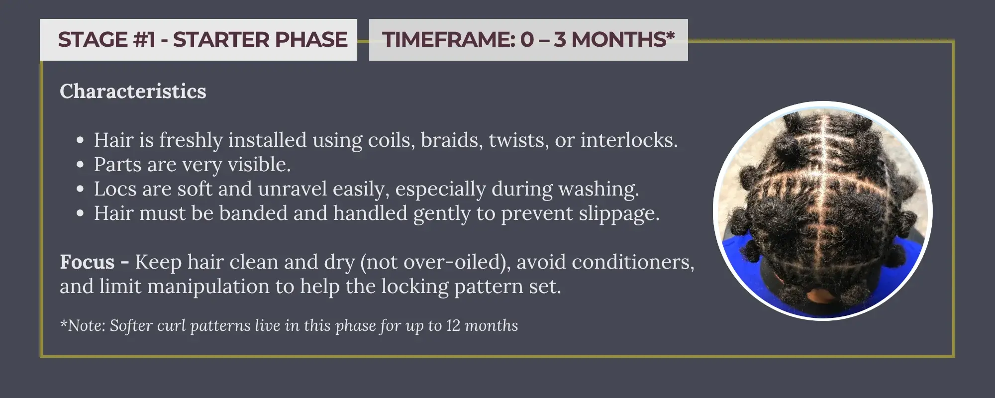 Stage 1 - Starter Phase (0 to 3 months) infographic showing characteristics of newly installed locs