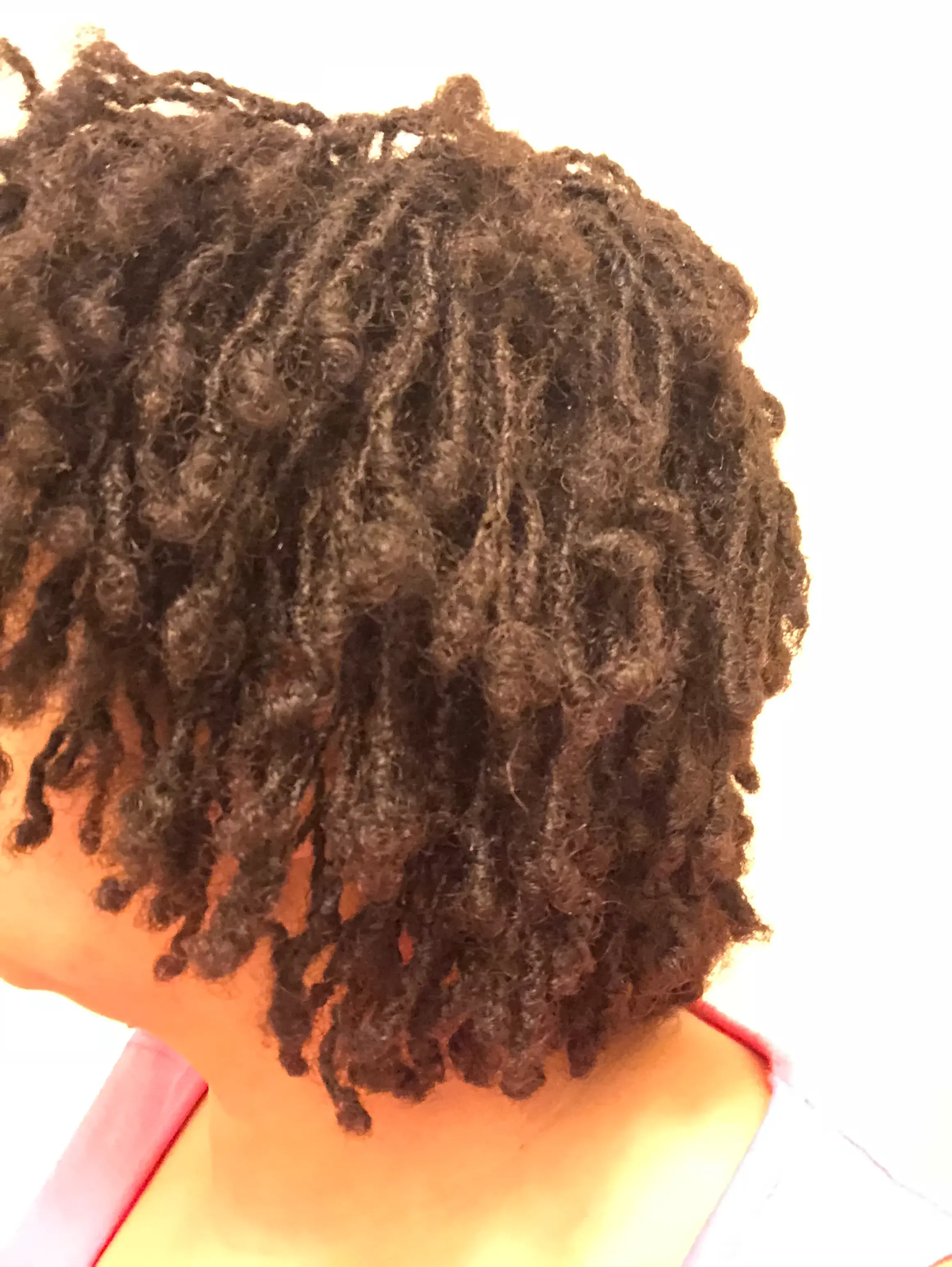 Back of head showing budding locs — the teenage phase
